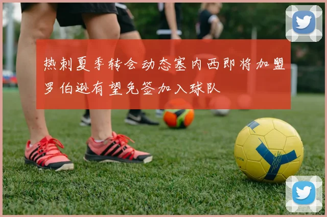 热刺夏季转会动态塞内西即将加盟罗伯逊有望免签加入球队